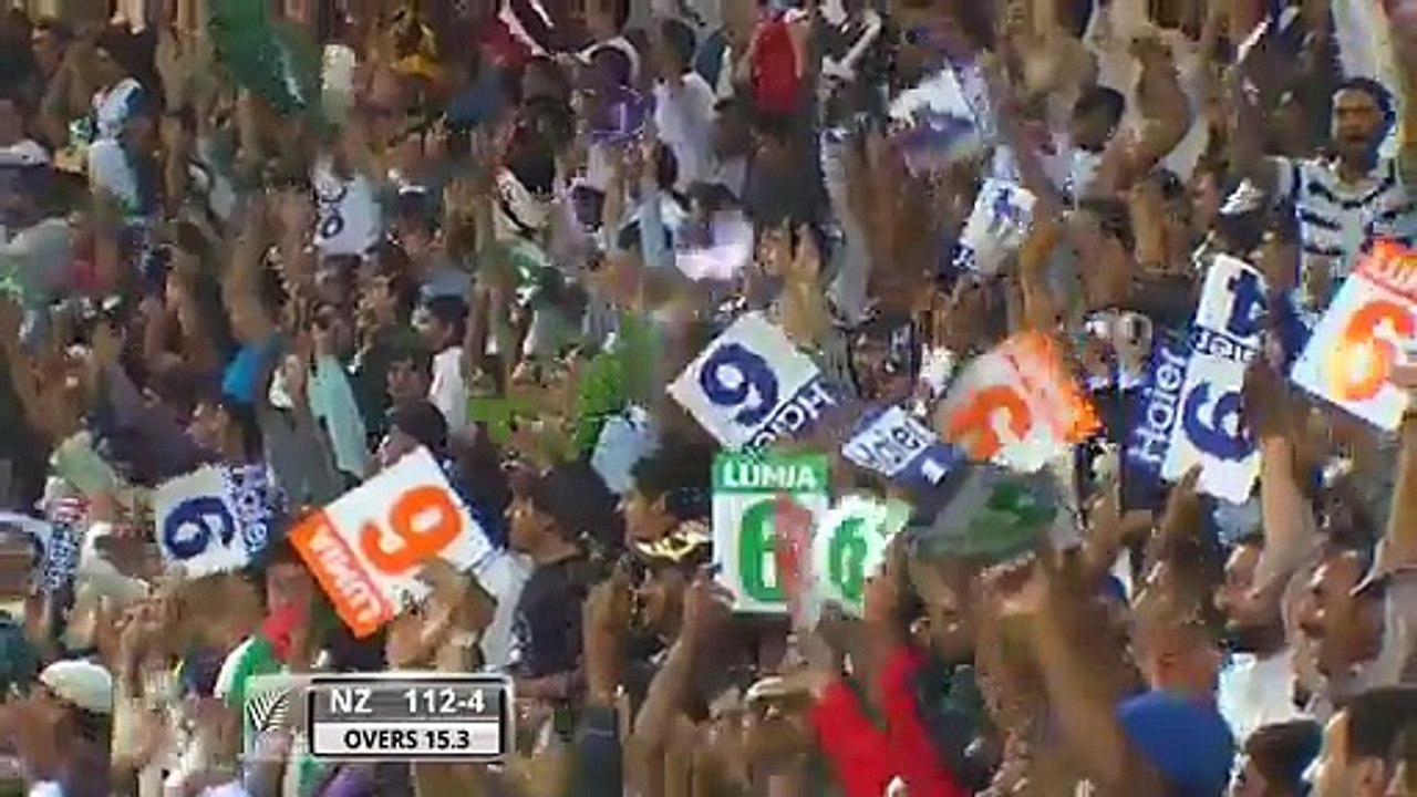 Beautiful Boundary Line Catch by Saad Nasim