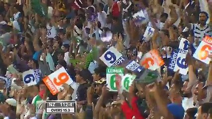 Beautiful Boundary Line Catch by Saad Nasim