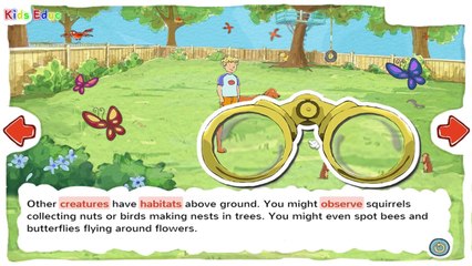 Environment: Ecosystem Around Us