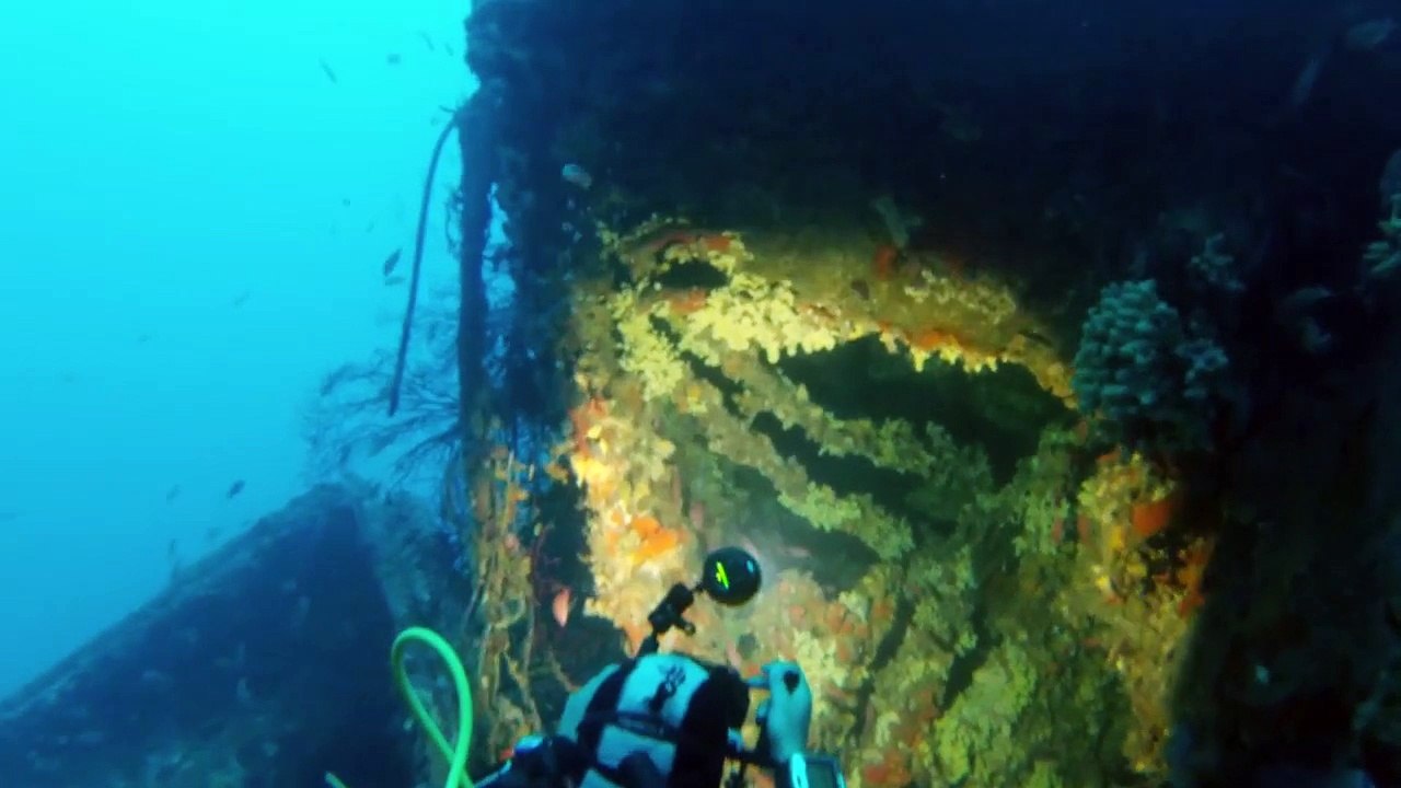 Plongée sur l'avant duGrec - Cyana Plongée Hyeres