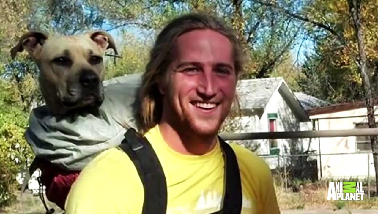 Can One Young Couple Find New Dog Love After Great Loss