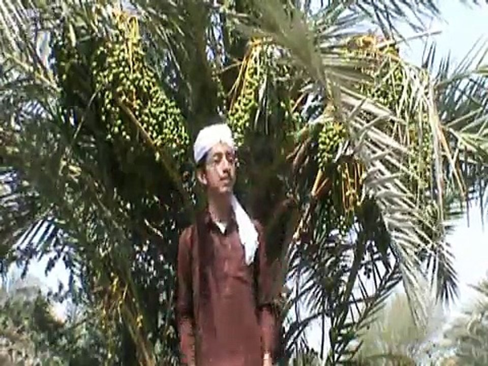 Ayo meer Madinay Waro Naat waqar Ahmed Abbasi