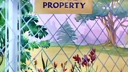 توم و جيري القط الذكي و صاحب الماوس الجمعة