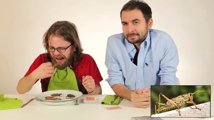 Bebek Mamalarını Tattık - Ohannes!!!