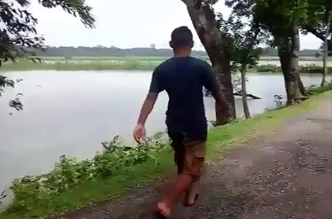 FUNNY VIDEOS COMPILATION 2015