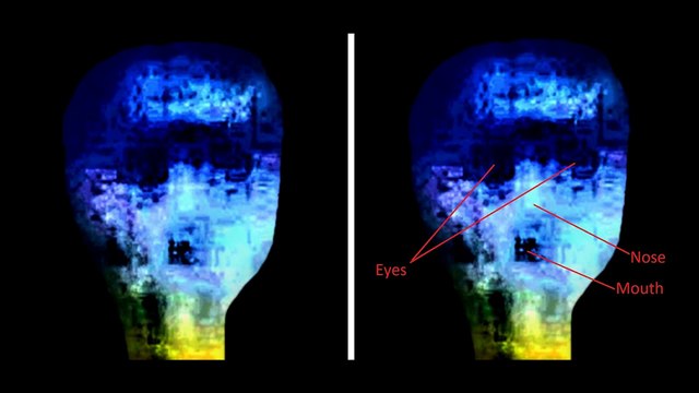 My Alien Photographs