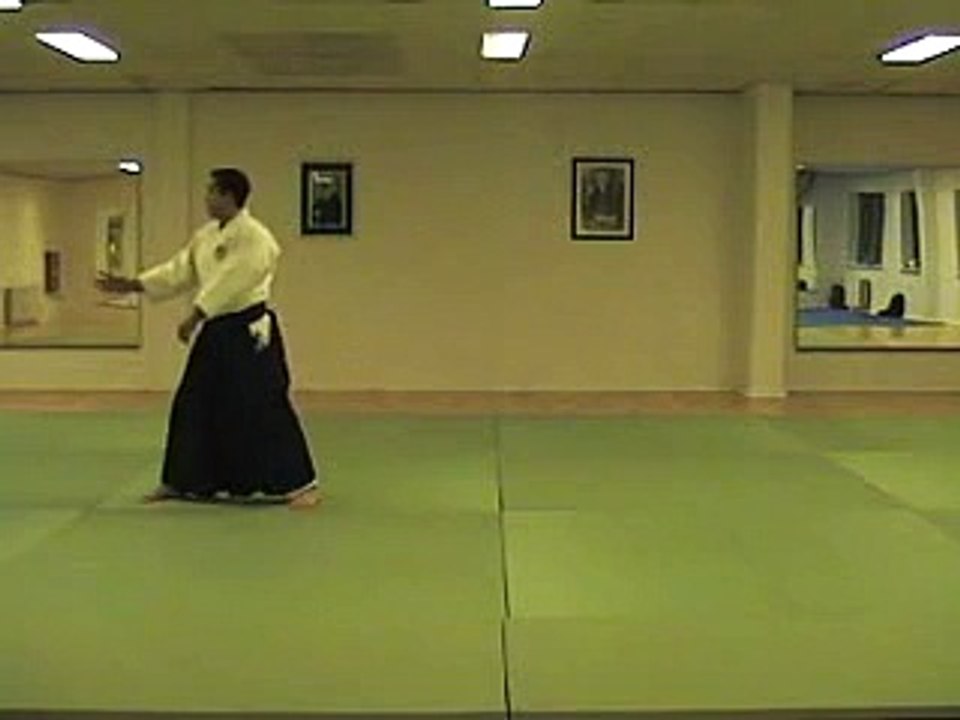 Aikido ukem