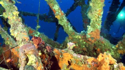 2015-10 matin de Plongée à Hyères
