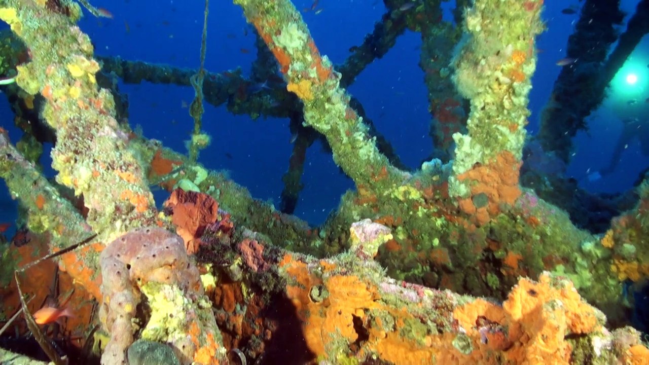2015-10 matin de Plongée à Hyères