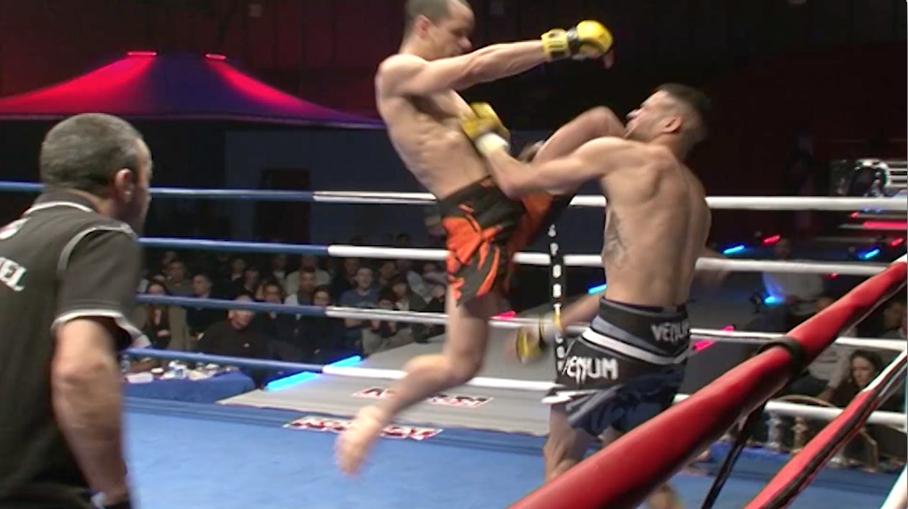 STEVE POLIFONTE - HIGHLIGHTS 2016