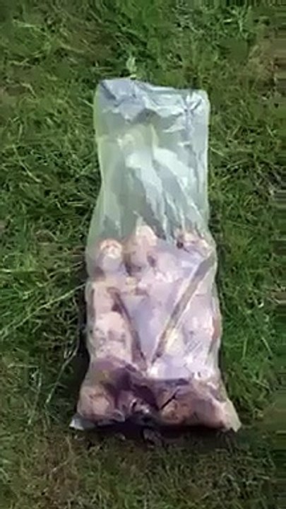 Dünyanın en güzel mesleği - Funny videos - Komik videolar