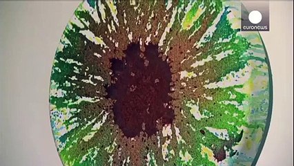 Gözü pastada kalan köpeğin sabırsızlanışı - Funny videos - Komik videolar