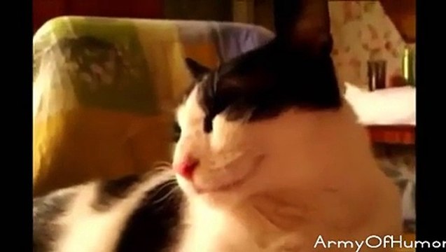 Gülmek isteyenler izlesin - Funny videos - Komik videolar