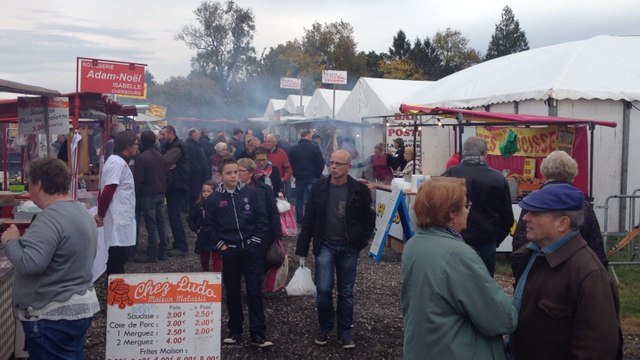 Foire agricole