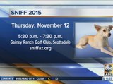 Sniff 2015 auction event raises money for spay, neuter surgeries