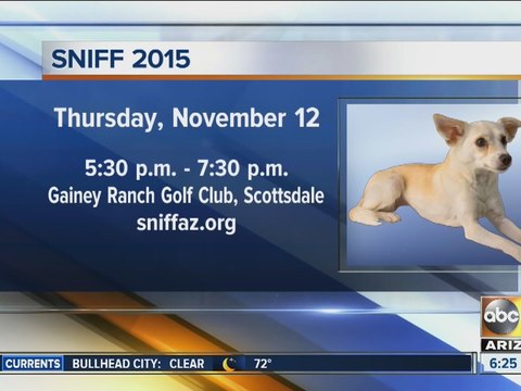 Sniff 2015 auction event raises money for spay, neuter surgeries