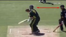Worst missed RunOut chance in History of Cricket by Australia #Hilarious