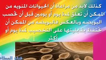 هل يحدث حمل قبل الدورة باسبوع؟