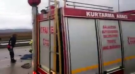 Kaza sonrası ikiye bölünen şahin