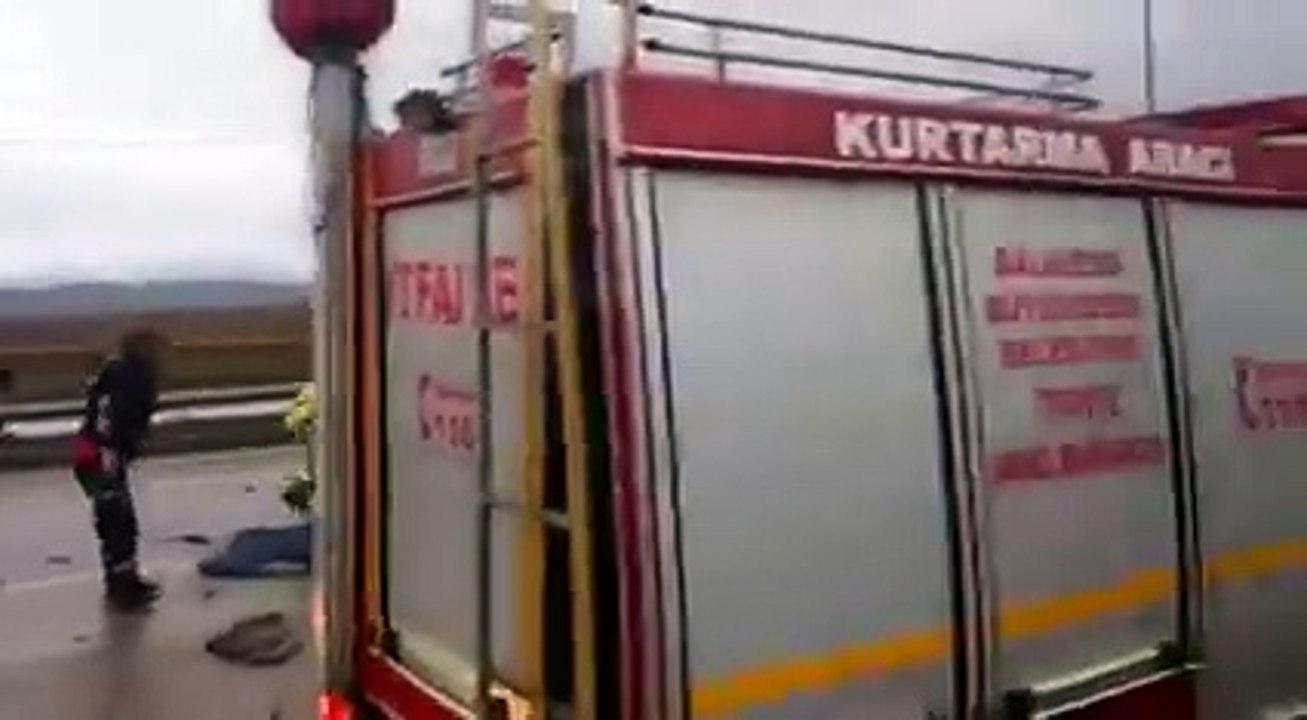 Kaza sonrası ikiye bölünen şahin