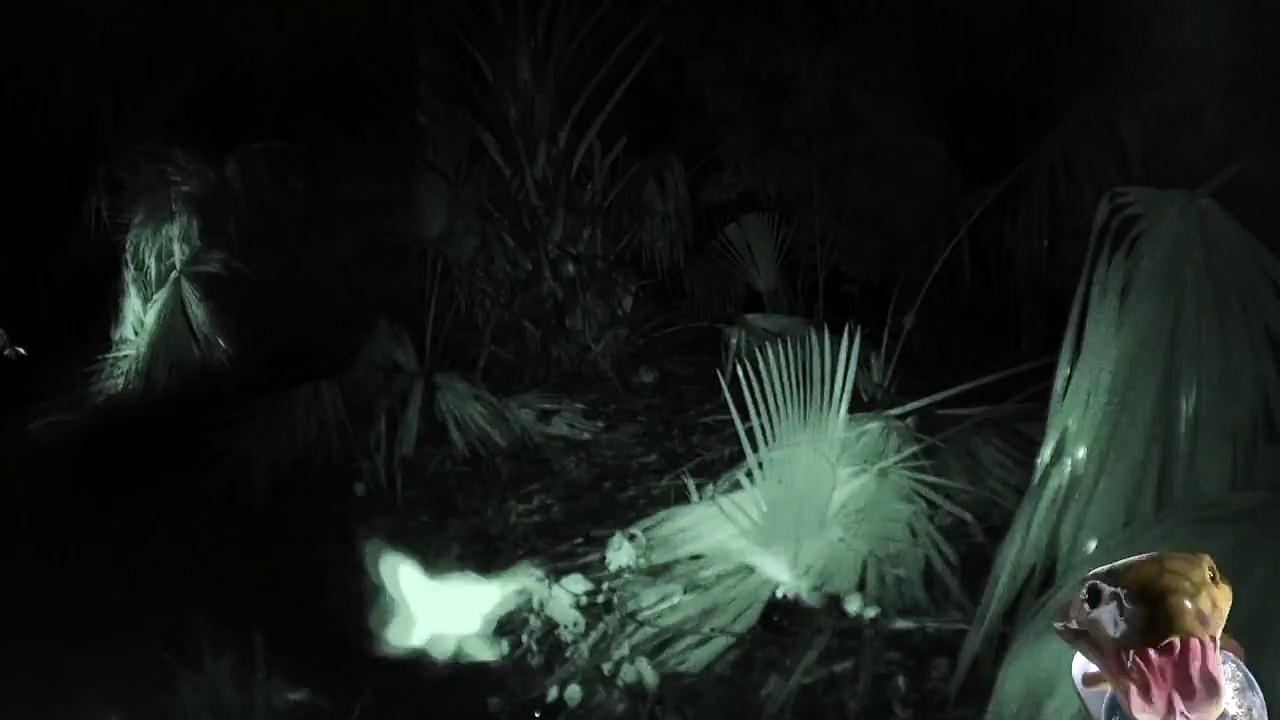 Naked + Mosquitos Is Not a Good Combo | Naked and Afraid