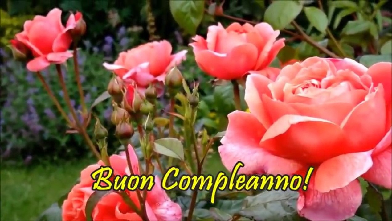 Buon compleanno