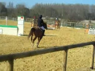 CSO Mettray D2P