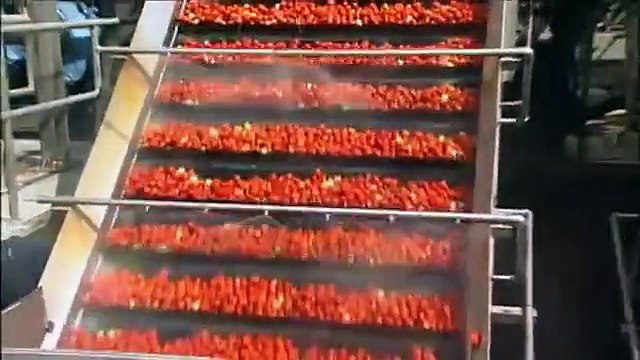 Mighty Machines Bringing In the Harvest