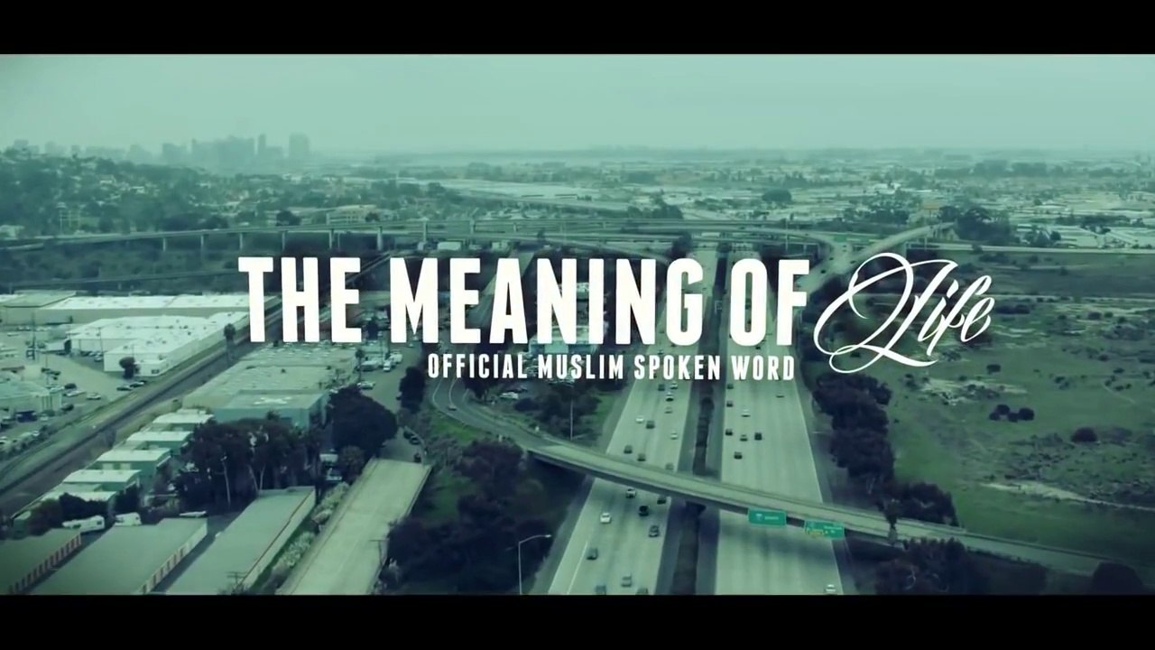 THE MEANING OF LIFE - HD