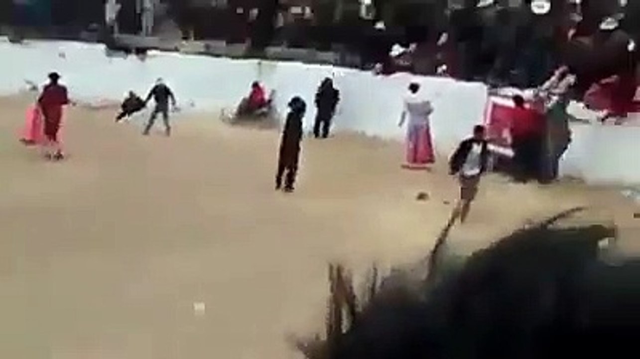 Un taureau saute dans les tribunes