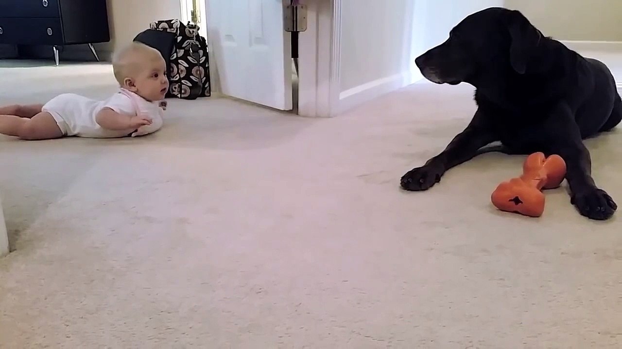 Babys first crawl with her dog. what a cute ending!