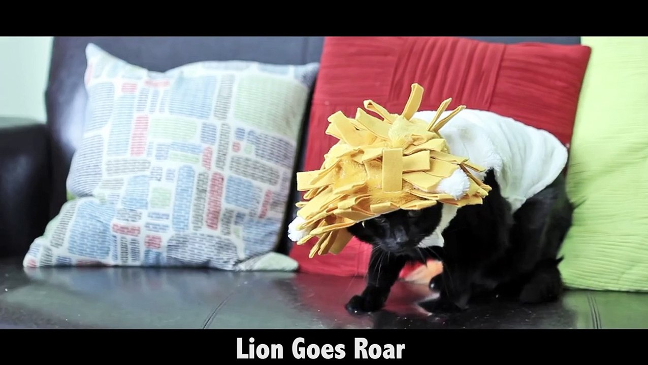 N2 the Talking Cat What Does the Cat Say? (What Does the Fox Say? Ylvis Parody)