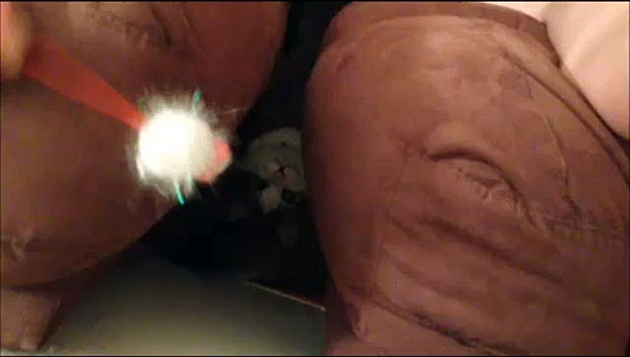 SAIL cat vine