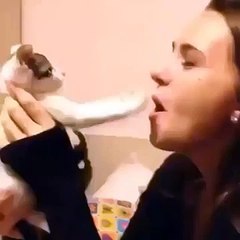 Cat bites girls lip vine Funny!