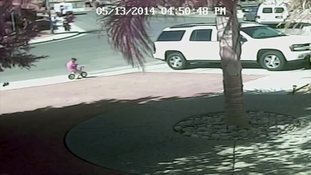 VIDEO: Cat saves Bakersfield boy from dog attack