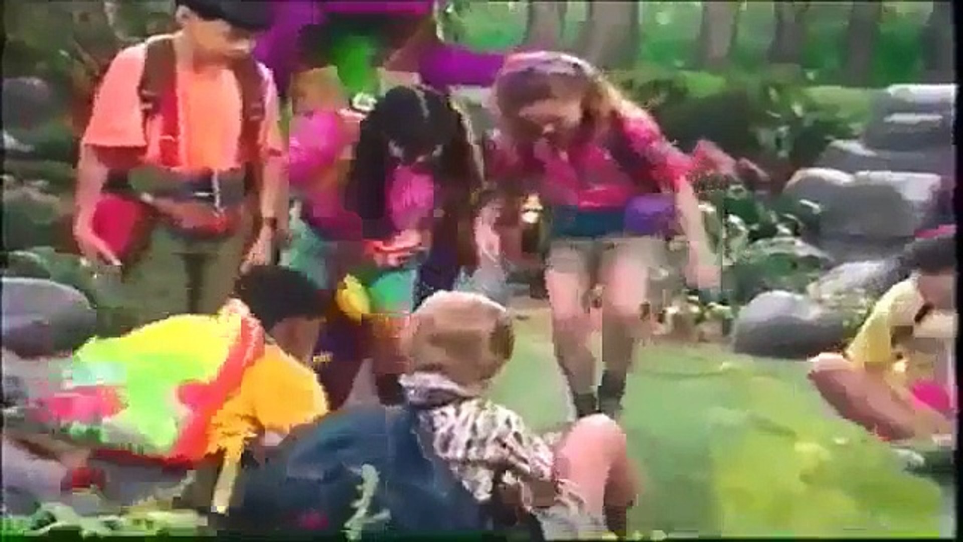 Barney Backyard Gang Campfire Sing Along House Backyards