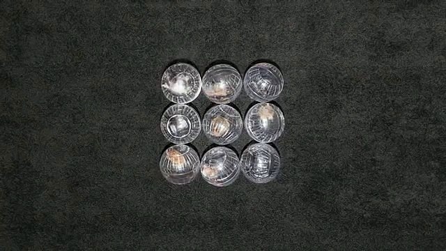 Bolas de baño. Hámsteres divertidos rodando en el suelo en las bolas