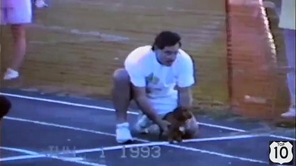 Carrera con obstáculos, con vida. Dachshund divertido elimina a un oponente