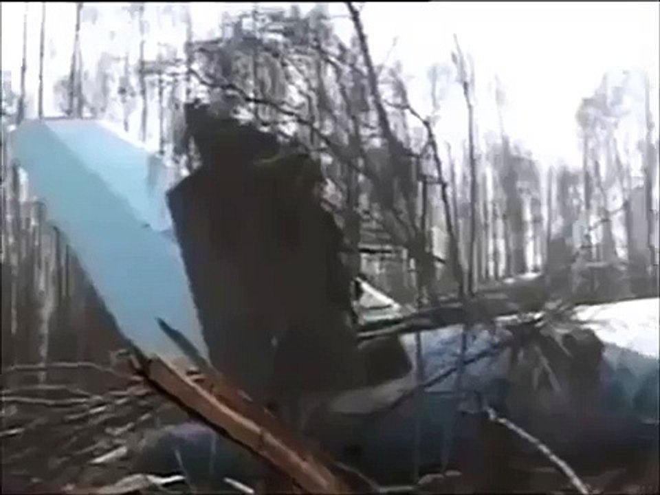 Indonesian Plane Carrying 54 People Crashes in Oktabe, Papua - Crash Site Footage