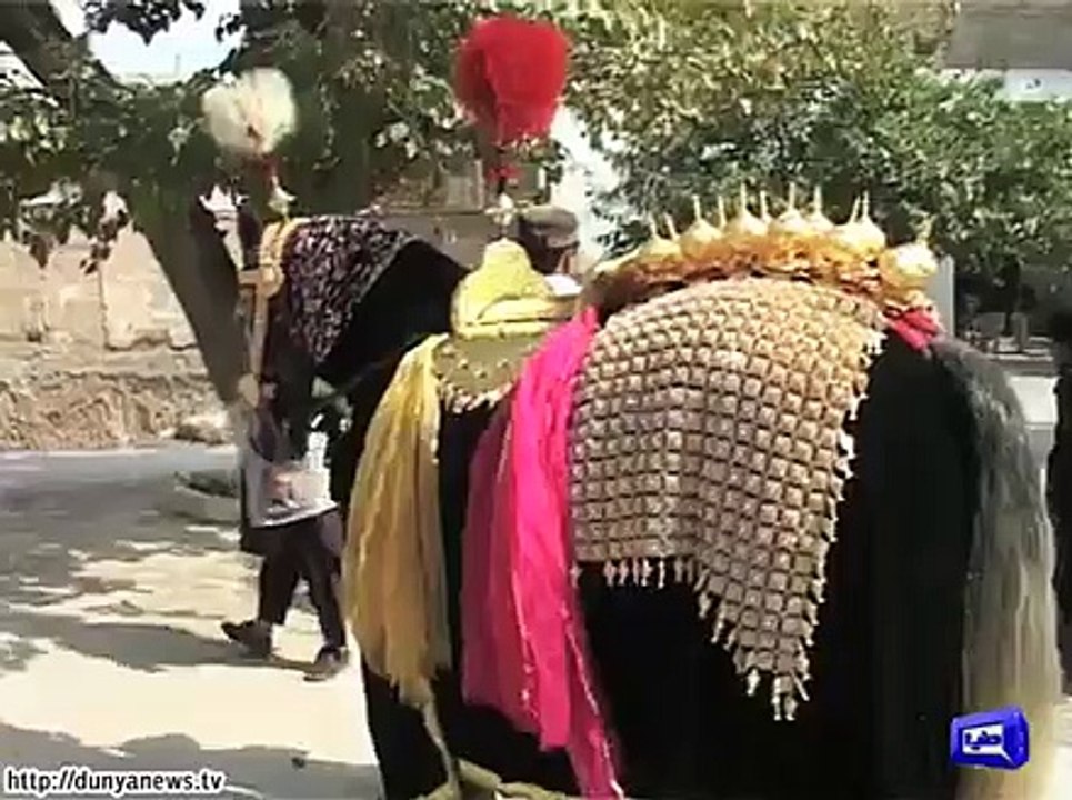 Zuljanah decorated with new ornaments in Quetta.