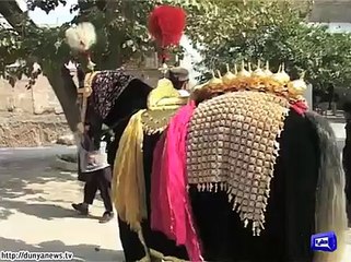 Zuljanah decorated with new ornaments in Quetta.