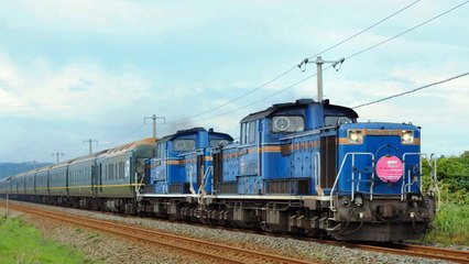 シグナル　20歳のめぐり逢い