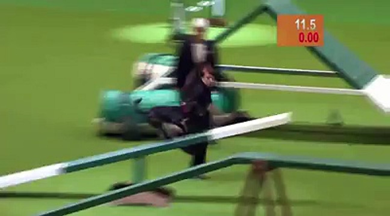 Dog  Racing Compition 2015