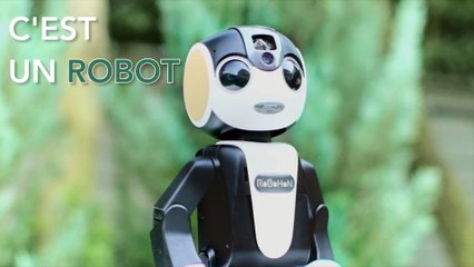 RoBoHoN, le roboto-téléphone mignon... qui ne sert peut-être pas à grand chose