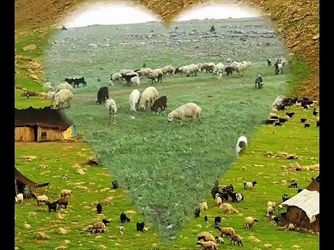 DENGBEJ SİDAR BERİTAN FERMANE GUNDE ŞEXA KLİP 2015 KÜRTÇE KLİPLER