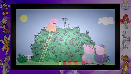 Peppa Pig - The Blackberry Bush