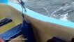 Il filme un banc de dauphins impressionnant (  Superpod of dolphins wow tourists off Cost Rican coast ) !