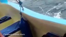 Il filme un banc de dauphins impressionnant (  Superpod of dolphins wow tourists off Cost Rican coast ) !