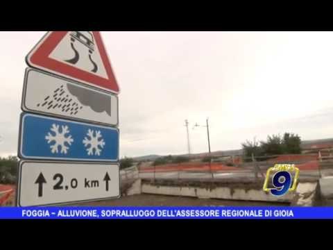 FOGGIA | Alluvione, sopralluogo assessore regionale Di Gioia