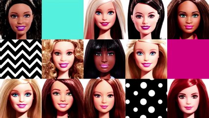 Barbie Fashionistas | Barbie